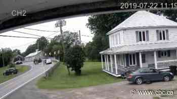 Quebec man found guilty after manoeuvre to avoid ducks leads to death of motorcyclist