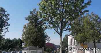 Stadtrat Bitburg entscheidet über Beitritt zum Klimapakt - Trierischer Volksfreund