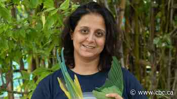 Why this woman left a career in architecture to catalogue bird feathers