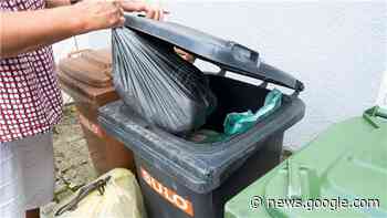 Müll-Ärger im Kreis Cuxhaven: Nehlsen kündigt Lösung an - NORDSEE-ZEITUNG