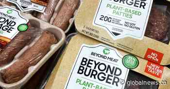 Is the Beyond Meat product line nothing but a fad?