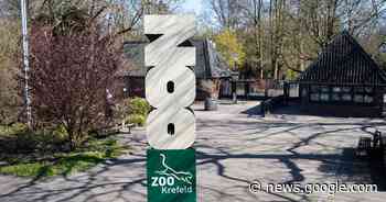 Krefeld: Geld für das Artenschutzzentrum Affenpark im Zoo - Rheinische Post