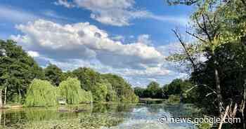 Krefeld: Niepkuhlen sollen Klimawandel trotzen - Rheinische Post