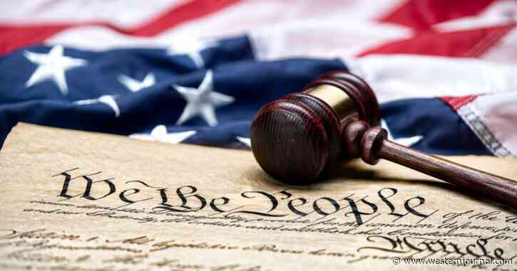 Americans Being Unjustly Removed from Society - Disturbing 14th Amendment Violations Exposed