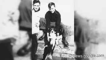 Heldenhond die tientallen dieren redde bij Watersnoodramp krijgt ... - Omroep Zeeland