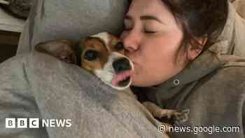 Barking dog helps owner escape Gateshead fire - BBC