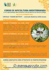 Pantelleria è l'isola del miele: a febbraio un corso gratuito di apicoltura - Quotidiano Sociale