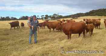 Juggling the sheep/cattle mix