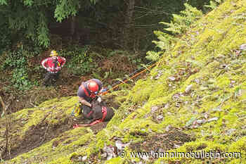 Volunteer firefighters rescue dog that fell down rocky ridge south of Nanaimo