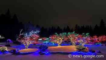 What's happening in Lethbridge this week: January 23, 2023 - Lethbridge News Now