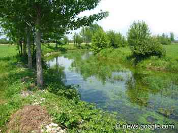 Nuove piante nel Tormo - Crema News