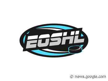 Tweed Oil Kings gain ground on Gananoque Islanders - Pembroke Observer