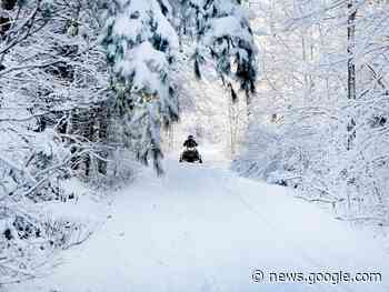 Paying attention, Kingston? News quiz for Jan. 21 - Pembroke Observer