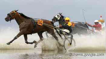 Spektakel auf dem Meeresgrund vor Duhnen ist beste Werbung für ... - Cuxhavener Nachrichten / Niederelbe-Zeitung