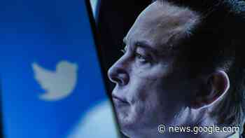 Höherer Preis, keine Werbung: Musk kündigt Abonnement-Angebot ... - Tagesspiegel