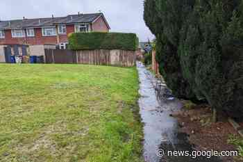 Sandy Hill Road Farnham Surrey: Body of burned dog found - Surrey Comet