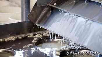 Sull'asse Faenza-Forlì nasce un nuovo polo casearo: "Obiettivo abbattere costi e rincari" - ForlìToday