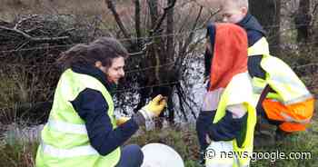 Padden krijgen hulp voor veilige oversteek in Rauw en Millegem - Het Laatste Nieuws