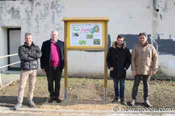 Amia, ecco “Prato Fiorito” per arricchire la biodiversità e la ... - Verona News