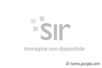 Diocesi: Prato, domenica 29 gennaio la Marcia della pace con il ... - Servizio Informazione Religiosa