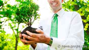 Este: adottati in poche ore 120 alberi - La PiazzaWeb - La Piazza