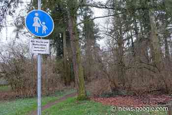 Auf dem Heddesdorfer Berg entsteht ein urbaner Wald - Start der ... - NR-Kurier - Internetzeitung für den Kreis Neuwied