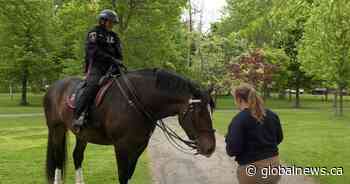 Kingston, Ont. police disband mounted unit, citing staffing issues
