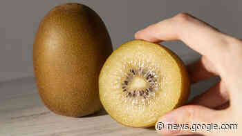 Kiwis aus Kernen ziehen: Genügend Licht ist entscheidend - kreiszeitung.de