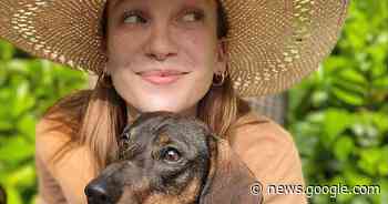 Ditzinger Dackel Hubertus verzaubert im Internet Tausende Fans - Ludwigsburger Kreiszeitung