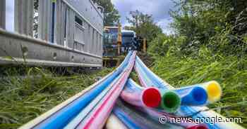 Internet: Wer den Ausbau der restlichen „weiße Flecken“ übernimmt ... - Rheinpfalz.de