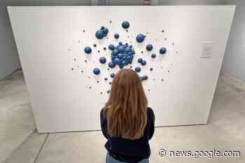 Exhibition at college gallery features 'thought-provoking' art - BarrieToday