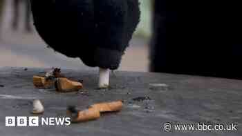 Bristol woman fined £700 after discarding cigarette butt in Kingswood