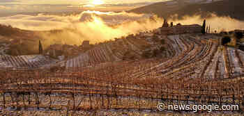 Torna Amarone Opera Prima - Corriere del Vino