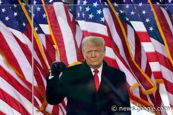 Donald Trump reinstated to Facebook after two-year ban - Barking and Dagenham Post