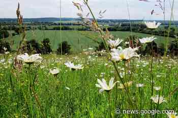 Government bonuses for eco-friendly farming practices brought ... - Barking and Dagenham Post