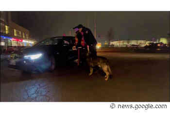 Servizi straordinari dei Carabinieri di Fidenza nel territorio della città ... - Gazzetta dell'Emilia & Dintorni