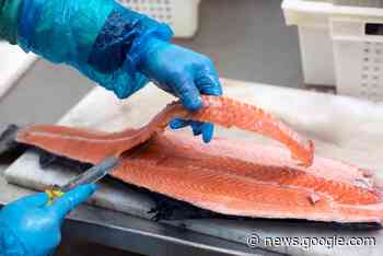 Another Grimsby seafood processor in trouble - Fish Farmer Magazine
