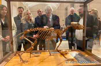 Dopo decenni di chiusura, Ispra riapre al pubblico le collezioni ... - Il Nuovo Terraglio