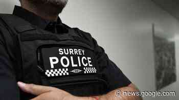 B.C. delays decision on Surrey police transition - Delta Optimist