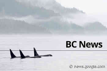 Untrained disassembly and poor communication linked to fatal B.C. ... - Delta Optimist