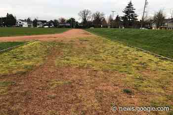New eight-lane track coming for Delta Secondary - Delta Optimist