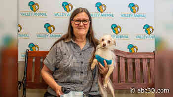 Senior dog adopted after almost 800 days at Fresno's Valley Animal Center