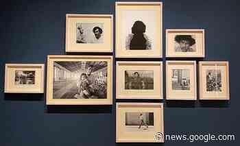 En el Museo Amparo, fotografías de Francisco Toledo y otros - El Ciudadano