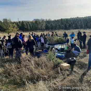 ARBA Toledo organiza una nueva reforestación popular en la ... - Toledodiario