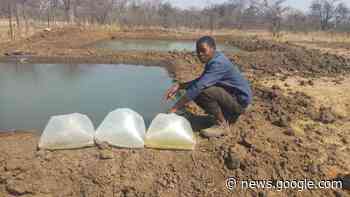 Lakes, rivers crucial in Africa's food security needs: Research - Farmers Review Africa