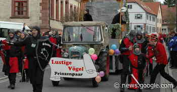 "Lustige Vögel" feiern eigenes "Narrentreffen" - Rhein-Neckar Zeitung