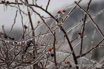Kreis Mettmann: Der Frost kehrt zurück - Super Tipp
