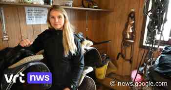 11 dure zadels van paarden gestolen uit manege in Harelbeke ... - VRT.be