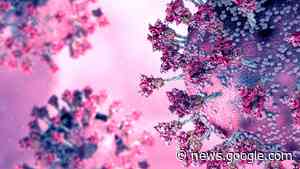 Children’s immune response to coronavirus: fa - EurekAlert