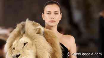 THE SELF-TAUGHT GARDENER: Groundbreaking - theberkshireedge.com